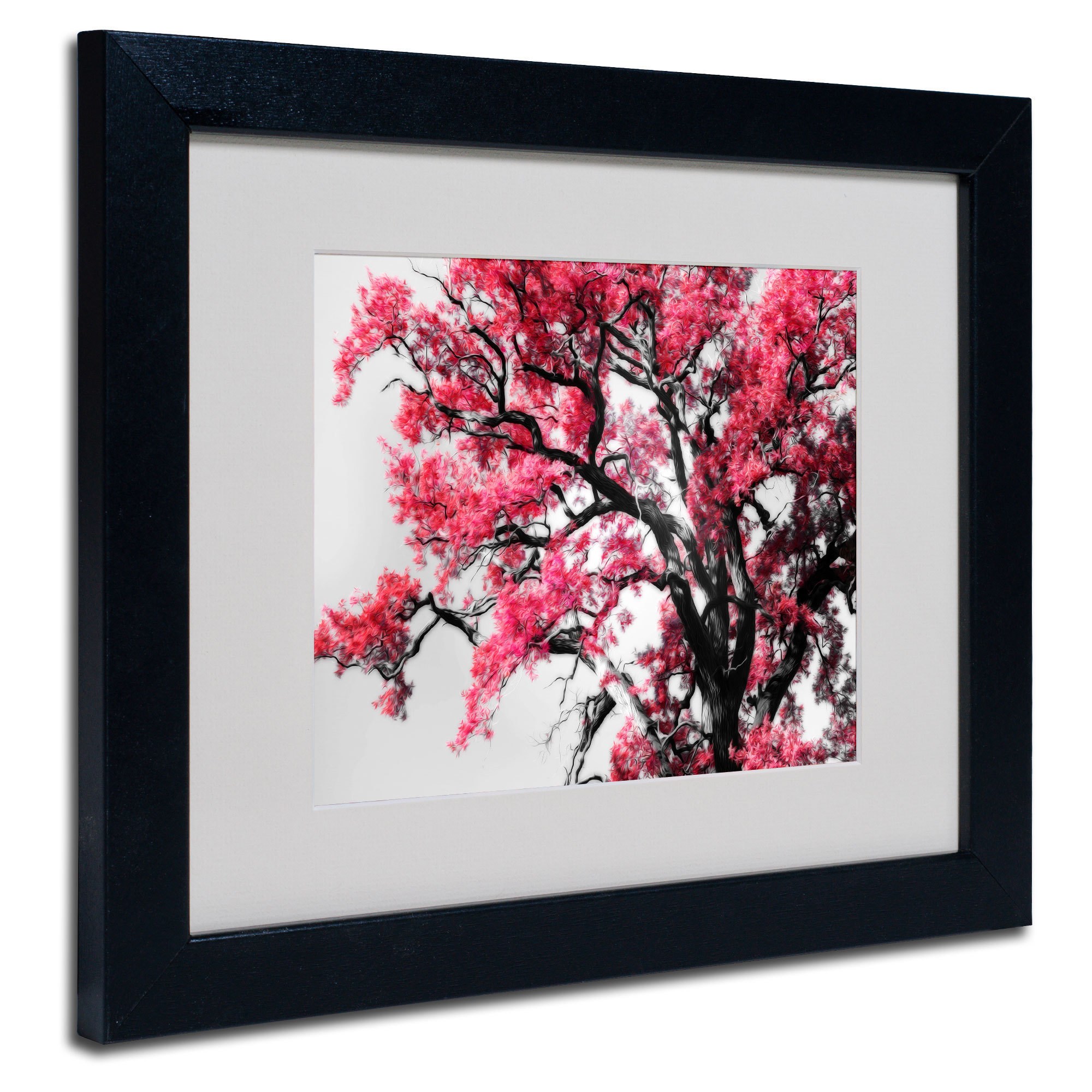 Trademark Fine Art "Glowing Tones" Canvas Art by Philippe Sainte-Laudy, Black Frame