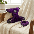thumbnail image 4 of Pechera para Perro XS con Correa Ajustable – Cómoda y Segura para Cachorros, 4 of 4