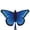Blue Morpho, variant on In the Breeze 3289 — 49" Monarch Butterfly Kite - Fun, Easy Flying Kite for All Ages