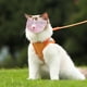 thumbnail image 3 of Belleza Para Gatos 2025 Nueva Cubierta Para La Boca Del Gato Malla Transpirable Para Gatos Herramientas De Belleza Reutilizables Para Gatos, 3 of 4