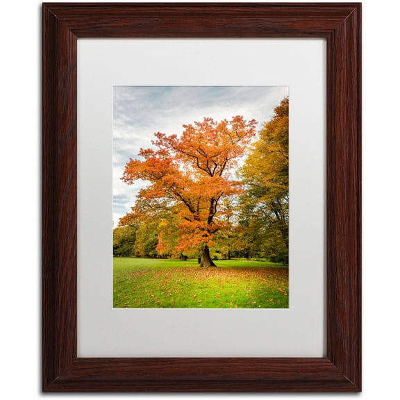 Trademark Fine Art "Burning Desire" Canvas Art by Philippe Sainte-Laudy White Matte, Wood Frame