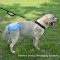 thumbnail image 1 of Pantalones Menstruales Para Mascotas Pantalones Suaves Para Mascotas Pantalones Transpirables Para Mascotas Pantalones Sanitarios Menstruales Transpirables Suaves Antiacoso Para, 1 of 8