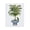 Tropical Parrots Planter, variant on Stupell Industries Glam Traditional Birds on Planter Canvas Art, 16 x 20, by Fab Funky