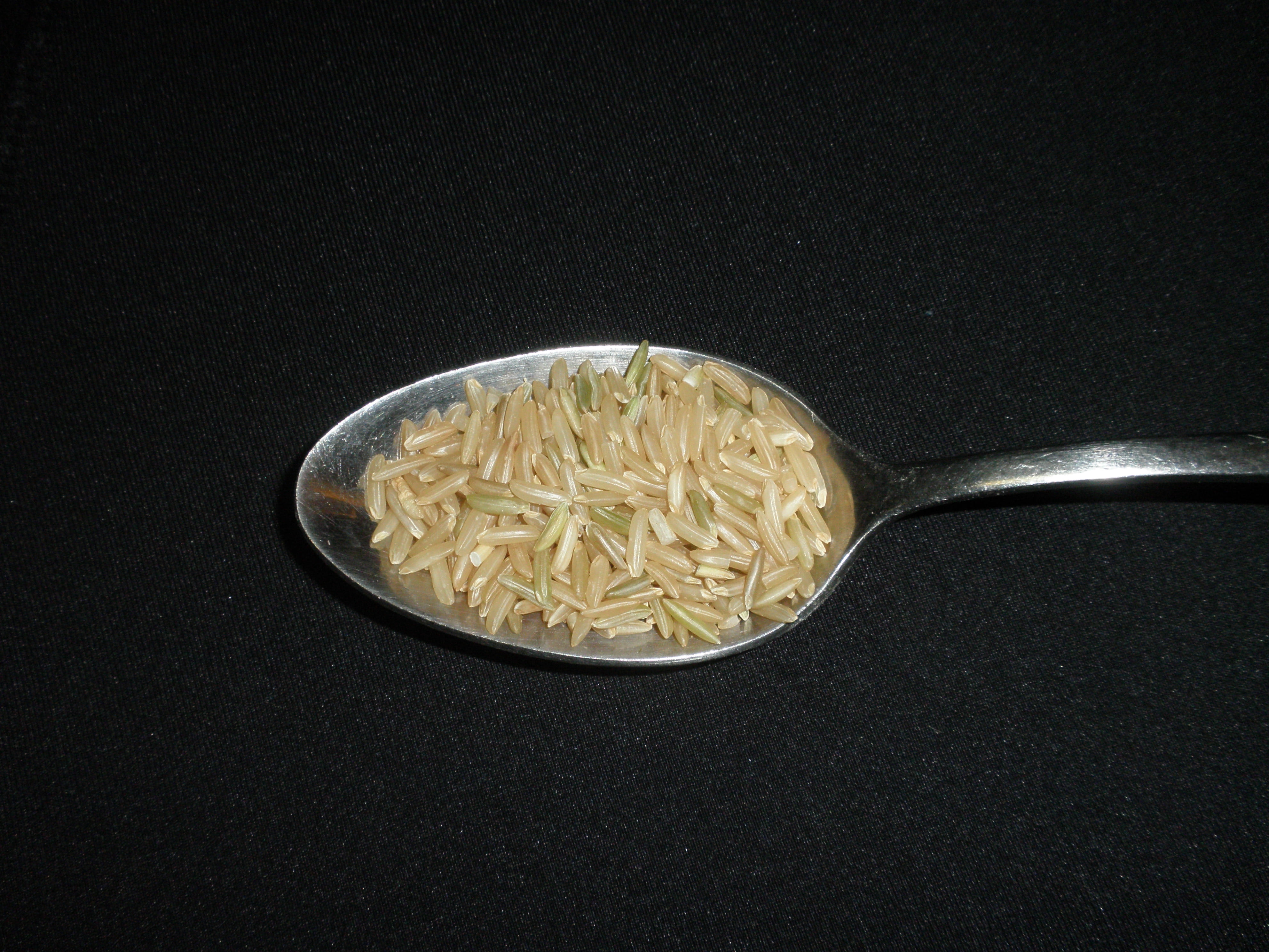 Basmati Rice, Brown, Ten Pounds (10 lbs) USDA Certified Organic, Non-GMO, Bulk by Mulberry Lane Farms