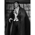 thumbnail image 2 of Figura Coleccionable NECA: Universal Monsters Dracula Carfax Abbey Ultimate 7" Action Figure NECA Ultimate Action Figure, 2 of 4