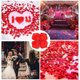 thumbnail image 5 of 3000 piezas de pétalos de rosa artificiales, pétalos de flores para una noche romántica, boda, fiesta, eventos, día de San Valentín, decoración, 5 of 5