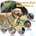 thumbnail image 2 of Bozal y correa sin corteza para perros pesados con cabeza halter XL, 2 of 7
