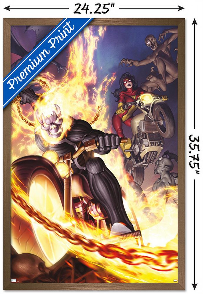 Marvel Comics - Spider Woman - Ghost Rider #6 Wall Poster, 22.375" x 34", Framed