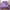 Purple Constellation(6pc), variant on JQinHome Twin Pink Purple Comforter Set, 6 Piece Bed in A Bag 3D Colorful Bedding Set for Girls Kids (1 Comforter,2 Pillowcases,1 Flat Sheet,1 Fitted Sheet,1 Cushion Cover)(Pink Purple)