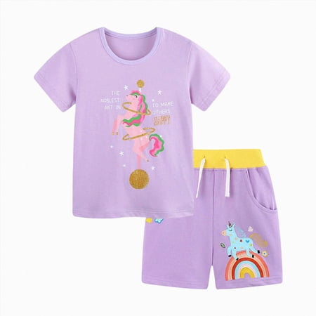 2 Pack Toddler Girls Short Sleeve T-Shirts 6-12 Months 12-24 Months 2t 3t 4t 5t 6t 7t Children Basic Cotton Tee Tops Toddler Girls Clothes(Purple 4-5 Years)