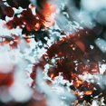 thumbnail image 4 of Camera Effect Filter Center Field Separation Diopter Filter 77mm Produces Blurry Refraction Photography Filter, 4 of 4