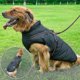 thumbnail image 2 of Warm Waterproof Jacket with Suspenders for Dogs Winter Comfortable Cotton Clothing Padded Vest, Black, Please Contact Merchant for Size, 2 of 4