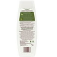 thumbnail image 2 of Palmer's Olive Oil Formula Smoothing Shampoo, 13.5 Oz., Pack of 6, 2 of 2