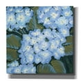 thumbnail image 1 of Epic Graffiti 'Blue Hydrangeas I' by Tim O'Toole, Canvas Wall Art, 26"x26", 1 of 2