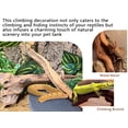 thumbnail image 4 of 2PCS Snake Climbing Branches,Reptile Natural Coral Driftwood Branches Decor,Lizard Habitat Decoration Accessories, Terrarium Tree Trunk Ornament for Bearded Dragon Gecko Frog Chameleon Spider, 4 of 14