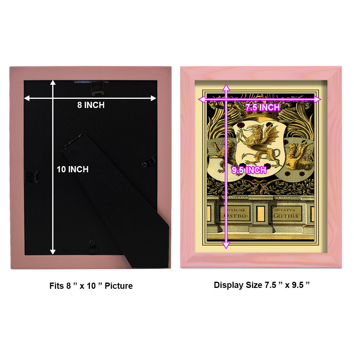 Family Crest II -Framed Print w/glass-Sunset Pink