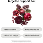 Snap Supplements Beet Root Nitric Oxide Powder - Blood Pressure & Cardio Health Support, Energy Boost, Original