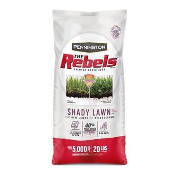 Pennington The Rebels Tall Fescue Grass Dense Shade Grass Seed 20 lb