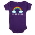thumbnail image 2 of Rainbow Baby One-Piece, Newborn Baby Rompers, Jumpsuit Baby Clothing - I'm The Rainbow, 2 of 3