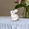 thumbnail image 1 of Huanglei Micro Ornaments Cute Animals Realistic Rabbit Micro Rabbit Gardening Resin Accessories, 1 of 8