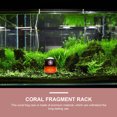 thumbnail image 4 of WHAMVOX Soporte Para Coral De Acrílico Para De Peces Con Base Fluorescente Frag Rack, 4 of 6