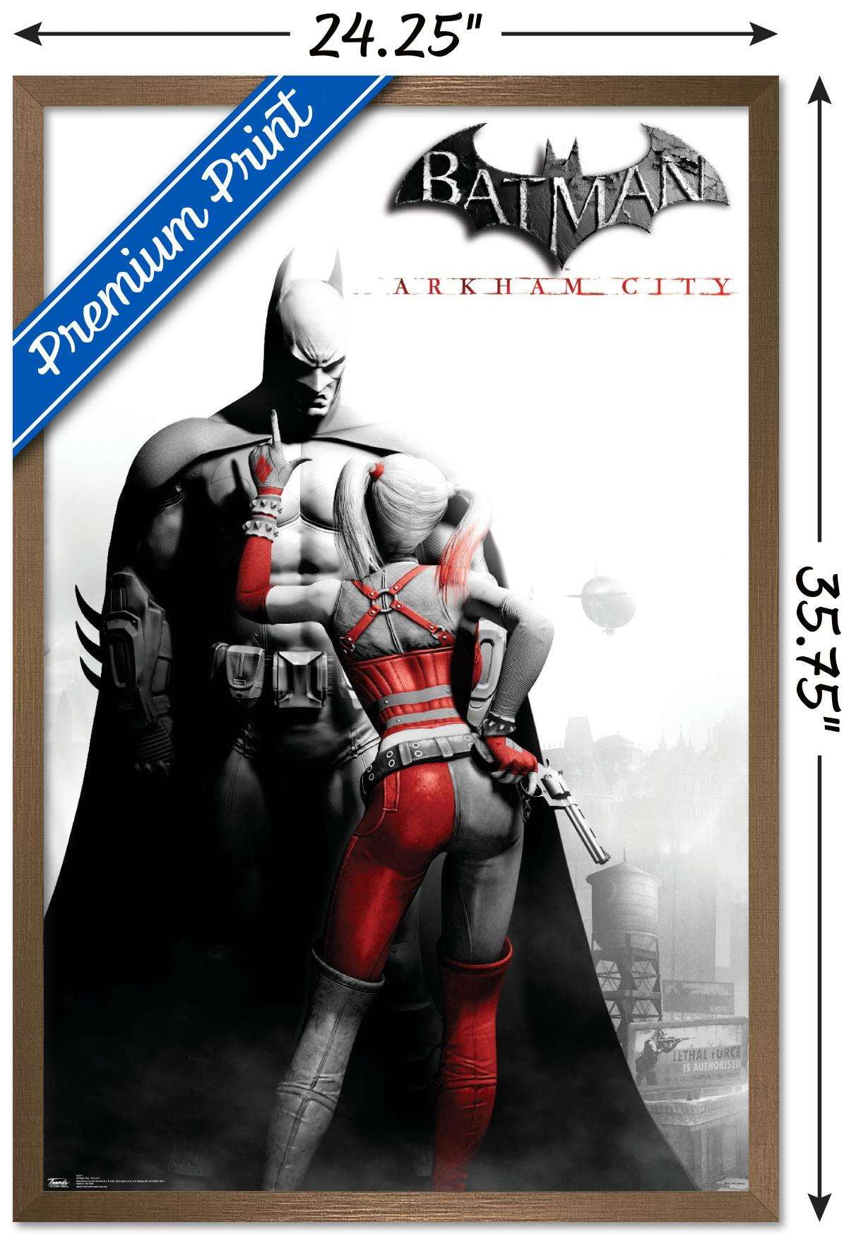 DC Comics VIdeo Game - Arkham City - Key Art 24