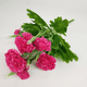 thumbnail image 1 of Xiao Hua flores artificiales de clavel, flores falsas, flores artificiales para decoración de bodas, 1 of 5