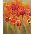 thumbnail image 2 of Hageman, Marilyn 15x18 White Modern Wood Framed Museum Art Print Titled - Tulips in the Midst I, 2 of 4