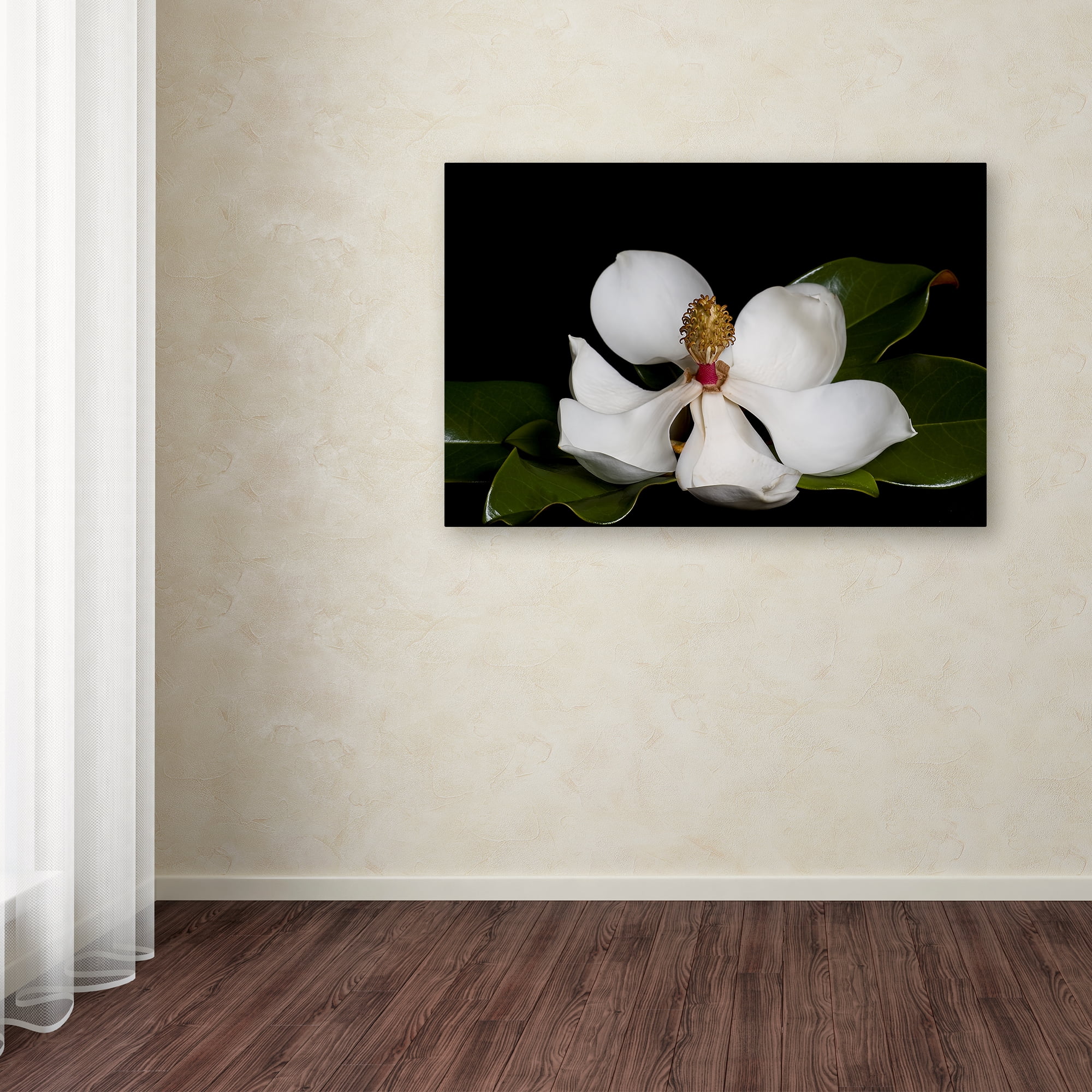 Trademark Fine Art 'Magnolia' Canvas Art by Lori Hutchison