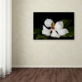 thumbnail image 3 of Trademark Fine Art 'Magnolia' Canvas Art by Lori Hutchison, 3 of 3