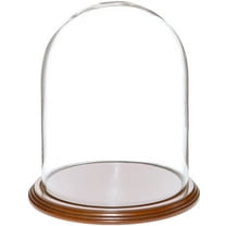 Plymor 8" x 10.25" Glass Display Dome Cloche (Walnut Veneer Base)