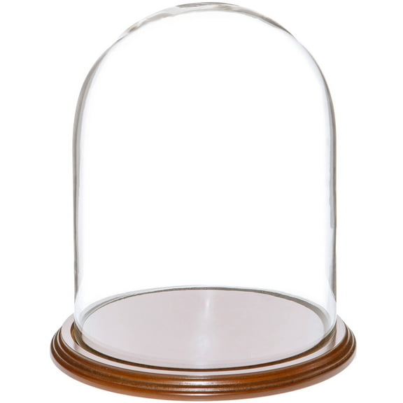 Plymor 8" x 10.25" Glass Display Dome Cloche (Walnut Veneer Base)
