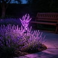 thumbnail image 6 of Akmoler Lavender Solar Powered Lights, Outdoor Pathway Solar Lights for Yard, Lawn, Patio, Pathway, Flowerbed, Planter, Balcony,Garden Decoration, 6 of 7