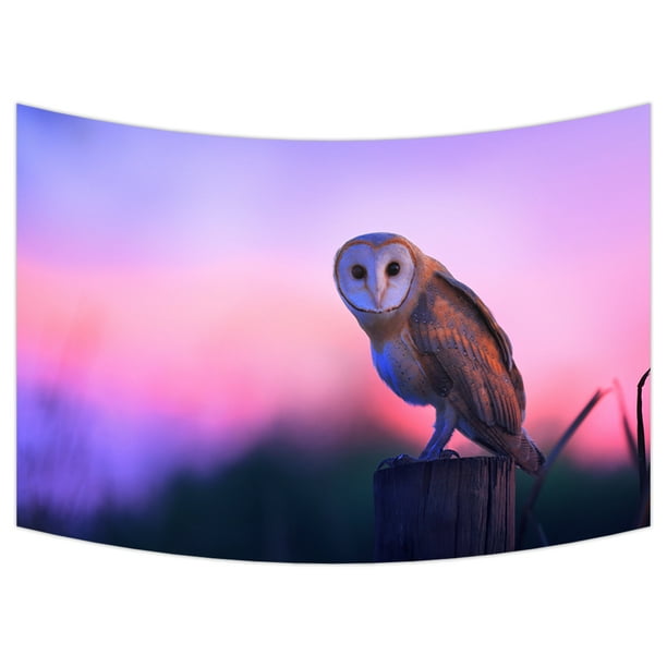 YKCG a Beautiful Barn Owl Perched on a Tree Stump Purple ...