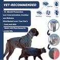 thumbnail image 3 of Bsvklp Collar Repelente Pulgas Y Garrapatas para para Cachorros Gatos Grandes (perro 70 Cm/europeo), 3 of 9
