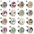 thumbnail image 4 of HOOUN Gold Aromatherapy Essential oil Stainless Diffuser Locket Vent Clip Car Gift-03, 4 of 8