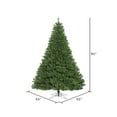thumbnail image 3 of Vickerman 7.5' Oregon Fir Artificial Christmas Tree, Unlit, 3 of 5