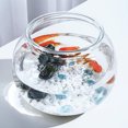 thumbnail image 3 of TABLZONE Small Goldfish Tank Transparent Desktop Fish Bowl for Home Decor 1Pcs, 3 of 8
