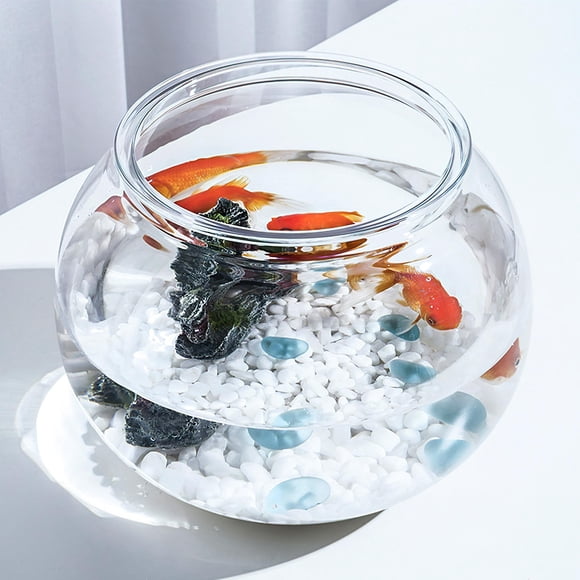 LRXIYODE 5Pack 22.00X22.00X18.00CM Aquarium for Betta Fish and Crab
