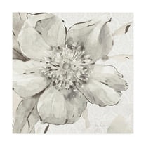 Trademark Fine Art 'Indigold VI Gray' Canvas Art by Lisa Audit