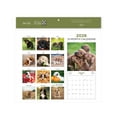 thumbnail image 3 of Blue Sky Monthly Stapled Calendar 12" x 12" Puppies (Jan 2026 - Dec 2026), 3 of 4