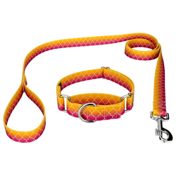 Country Brook Petz® Fabulous Ombre Martingale Dog Collar and Leash, 2XS