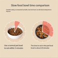 thumbnail image 3 of Dog Slow Feeder Bowl Silicone Slow Feeder -Bowl Dog Food Bowls Slow Pet Eating Bowl Prevent Choking Bowl, 3 of 5