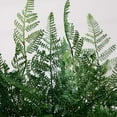thumbnail image 4 of Nearly Natural Forest Fern Artificial Floral Arrangement with Vase - 17" - Green and Clear, 4 of 7