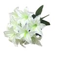 thumbnail image 1 of Lirio artificial 10 cabezas Lirio falso Flor artificial Decoración del banquete de boda Ramo Hogar Hotel Oficina Jardín Artesanía Decoración de arte (Blanco leche) Sincero Electrónica, 1 of 6