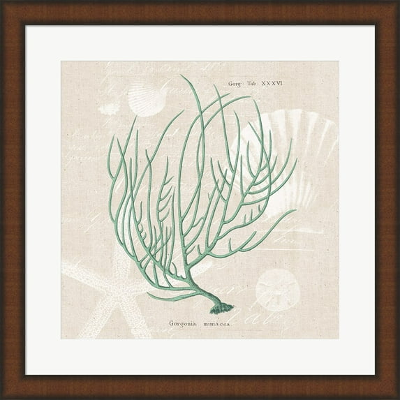 Gorgonia Miniacea on Linen Sea Foam Sq by Wild Apple Portfolio, Framed Wall Art, 19.75W x 19.75H