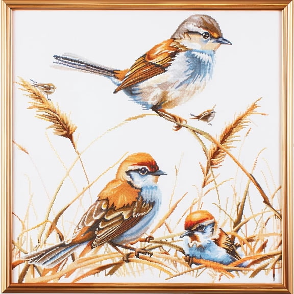 Little Birds DIY 11CT Stamped Cross Stitch Kits for Beginners Easy Needlepoint Embroidery Counted Cross Stitch Art Craft for Wall Decoration 14x14inch(4)