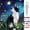 Cat, variant on BYGFHLYW Starry Night Tuxedo Cat Paint by Number Kit for Adults, Easy Painting Set for Gift and Home Wall Decor, 16" W x 20" L