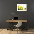 thumbnail image 3 of Millet, Karyn 18x13 White Modern Wood Framed Museum Art Print Titled - Leaning Daffodils, 3 of 4