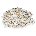 thumbnail image 1 of U.S. Shell 08002 Ringtop Center Cut - 50 Piece, 1 of 1